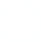 ppt logo